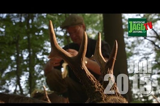 Bockjagd, Berufsjägerjagd und jagen in Schweden: DJZ-TV Juli 2015