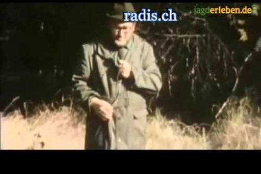 Heinz Meynhardt in freier Wildbahn