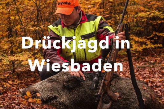 Drückjagd in Wiesbaden