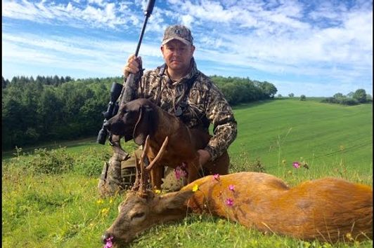 HAMPSHIRE TROPHY ROEBUCK HUNTING