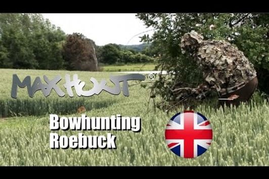 Bowhunting  European Roebuck