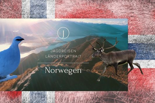 Norwegen - Jagdreisen Länderportrait