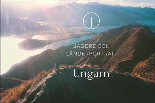 Ungarn - Jagdreisen Länderportrait