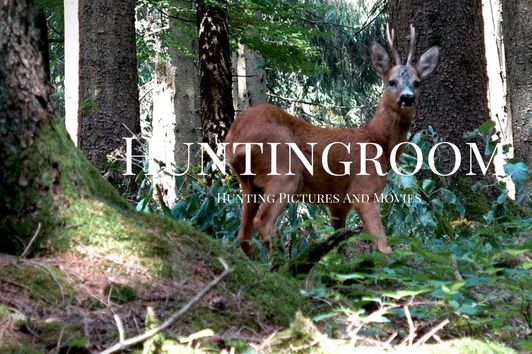 Bockjagd in Deutschland - Jetzt springen die Böcke aufs Blatten!