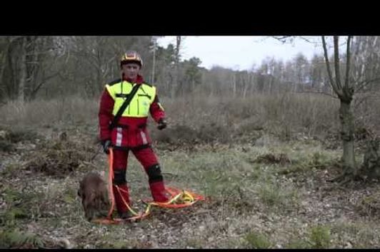 Tracking deer with dogs