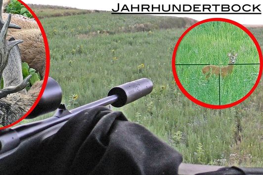 Jahrhundertbock - Ungerader 12er - Bockjagd Bayern