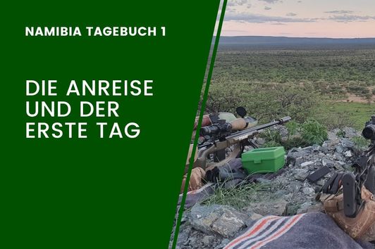 Anreise und Tag 1 in Namibia - Waldfein in Afrika