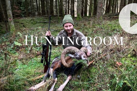 Jagd auf den 1er Widder - A HUNTINGROOM Story #16