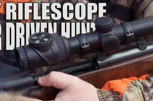 Hunting gear - My riflescope & sights for driven hunt - Trijicon Accupoint 1-6x24 & MRO