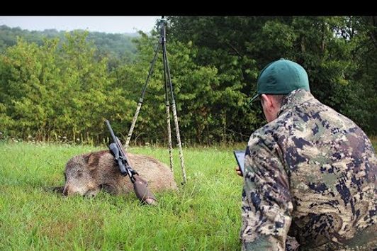 Schwarzwildjagd bei Tageslicht 2.0 / Besuch von Huntingroom Germany 4K