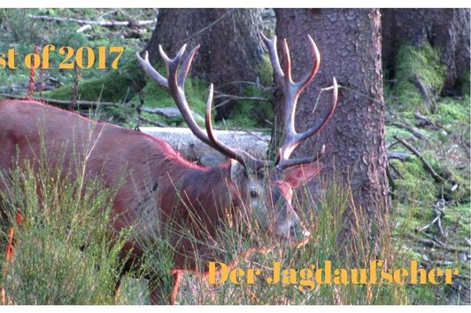 Best of Hunting / Jagdjahr  2017- Der Jagdaufseher