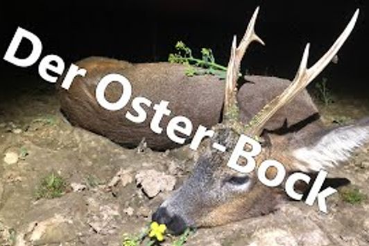 Der Oster-Bock