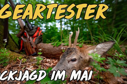 Geartester - Bockjagd im Mai