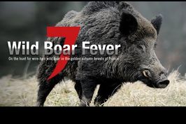 Wild Boar Fever 7 - Hunters Video