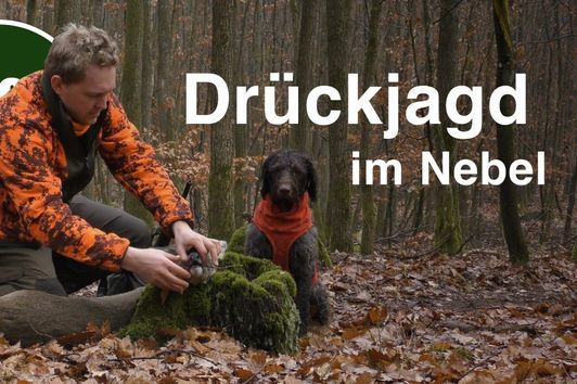 JagdMomente | Folge 10 | Drückjagd im Nebel