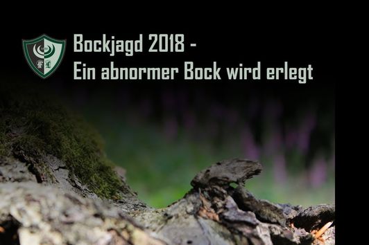 Bockjagd 2018 - Ein abnormer Bock wird erlegt.