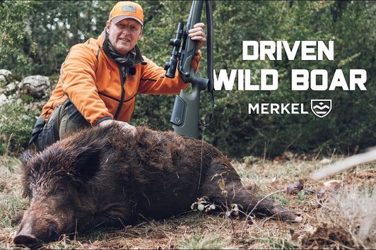 WILD BOAR DRIVEN HUNT | HUNTING MAGIC MOMENTS