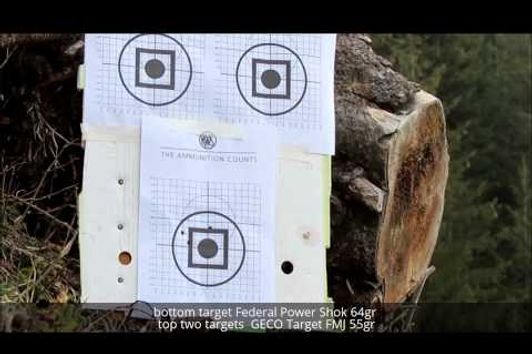 Ruger American .223 Remington Accuracy