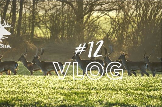 Jagd Dreispross VLOG #12