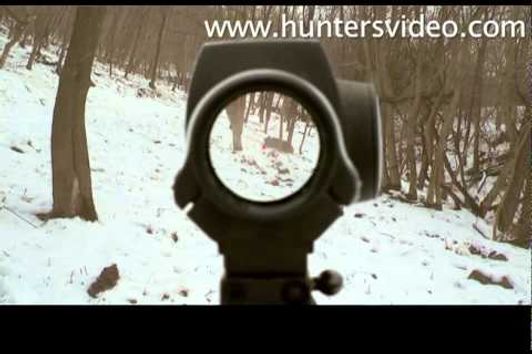 Wild Boar Fever 3 - Hunters Video