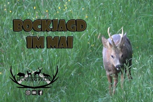 Bockjagd im Mai - Waidmannsheil nach kurzer Totsuche