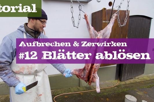 #12 Blätter ablösen - Schwarzwild - Lehrgang Aufbrechen & Zerwirken