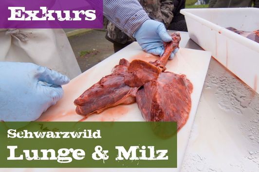 Lunge und Milz - Exkurs Organe - Schwarzwild