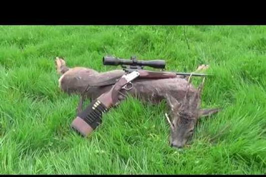 Bockjagd Mai/ Roebuck stalking with a Merkel K3 .243 Win