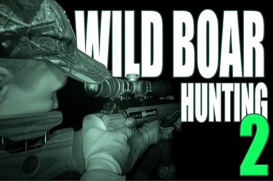 Wild boar hunting 2 - hunting wild boar at night filmed by a thermal imaging camera
