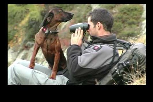 Ranger im Schweizer Nationalpark