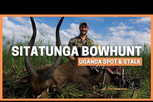 Bowhunting Sitatunga in Uganda