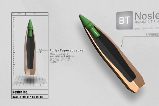 Nosler's Ballistic Tip Hunting Bullet