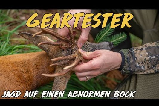 Geartester - Jagd auf einen abnormen Rehbock