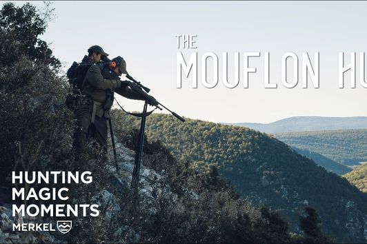 THE MOUFLON HUNT | HUNTING MAGIC MOMENTS