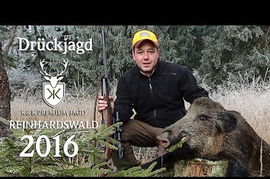 Drückjagd Reinhardswald 2016 Hessen - K&K Premium Jagd