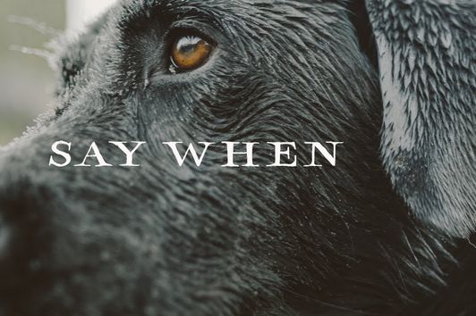 Sitka Films: Say When