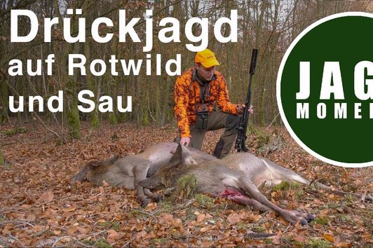 Drückjagd auf Rotwild und Sau | JagdMomente mit Freunden | Folge 4