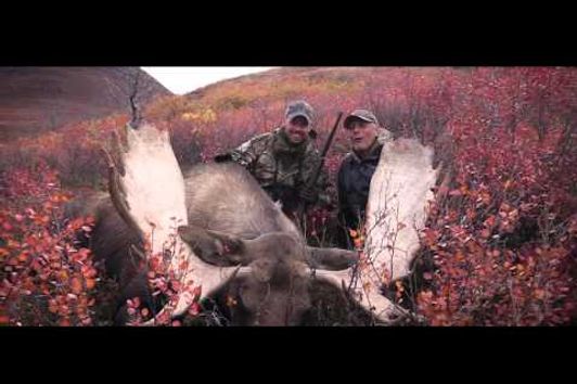 Canadian Double - Hunting Moose and Caribou - Teaser