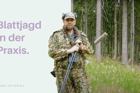 Blattjagd in der Praxis | Jagd-Tutorial der Bayerischen Staatsforsten