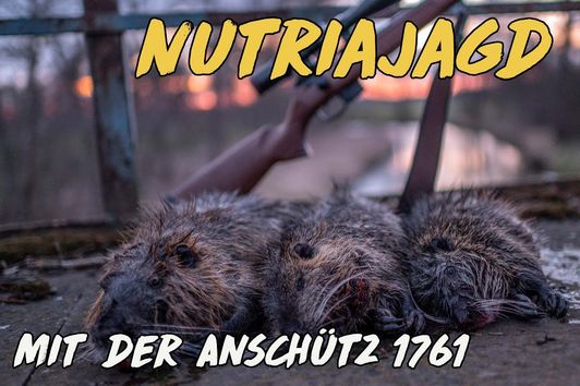 Geartester - Nutriajagd mit der Anschütz 1761 in .17HMR