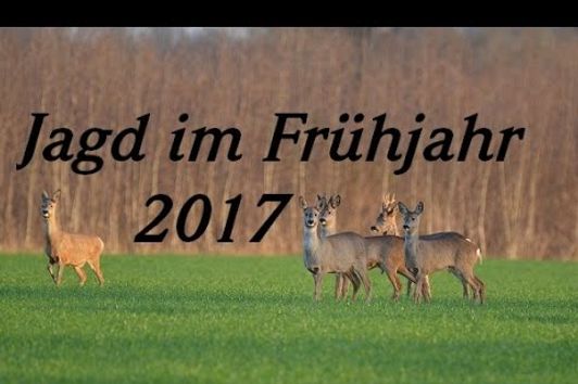 Jagd im Frühjahr 2017