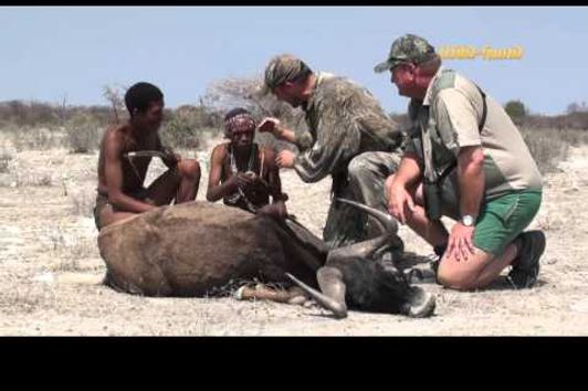 Pirsch-Profis im Busch (WILD UND HUND-Experte Andreas Bach pirscht mit Buschmännern)