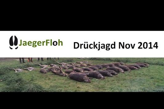 Driven Hunt/Drückjagd - 2 Jagdtage auf Schwarzwild und Rotwild im November 2014