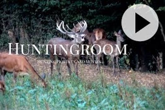 Hirschbrunft in der Eifel - A HUNTINGROOM Story #18