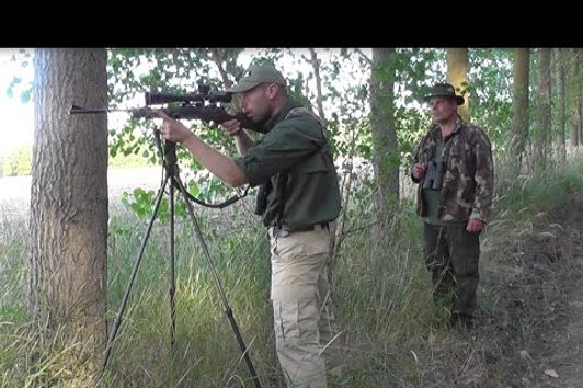 WILD Jaeger Hungarian Roe Deer Hunt (Rehbockjagd), Season 5