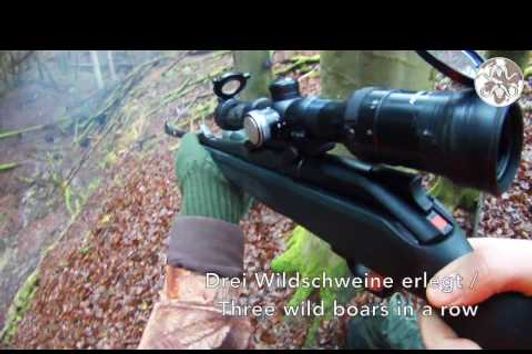 DRÜCKJAGD – ROLLIERENDE UND ANNEHMENDE WILDSCHWEINE, DRIVEN HUNT – CHARGING WILD BOARS