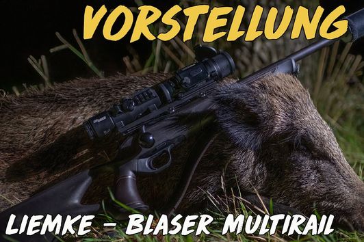 Vorstellung - Liemke Blaser Multirail