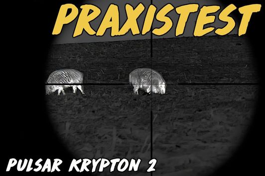 Praxistest - Pulsar Krypton 2