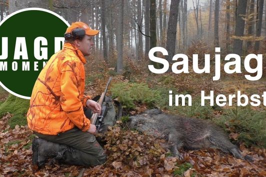 JagdMomente | Folge 5 | Drückjagd & Ansitz auf Sau & Reh im Herbst