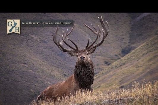 2015 Gary Herbert's New Zealand Hunting Promo